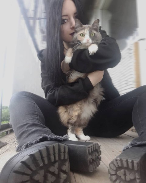rx MAylllxQ