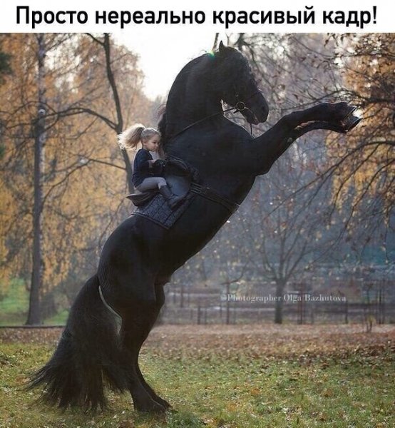 image (3) - 2020-09-22T213550.292