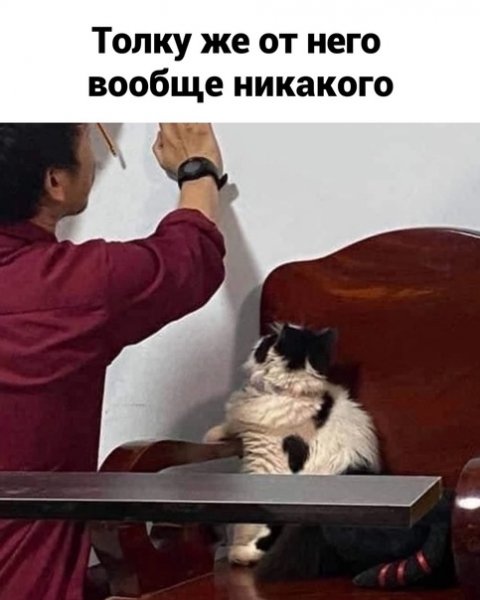 (2)