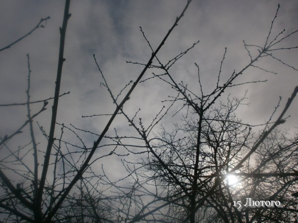 15 Лютого