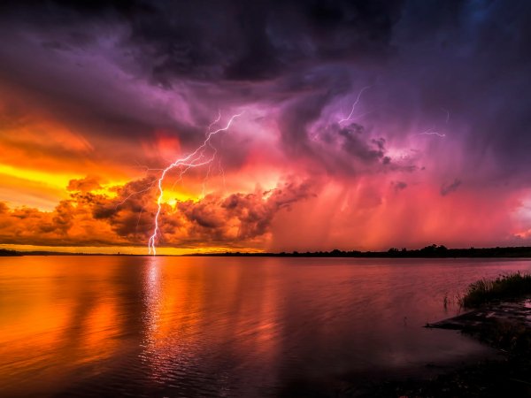 d940de36eda926a335-1600