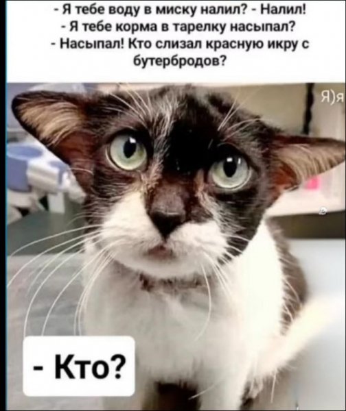 Hdhhj