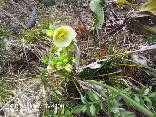 IMG 20240212 101636 596