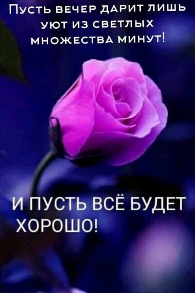 Добрый вечер!