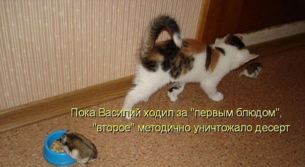 IMG 20150524 163121 1