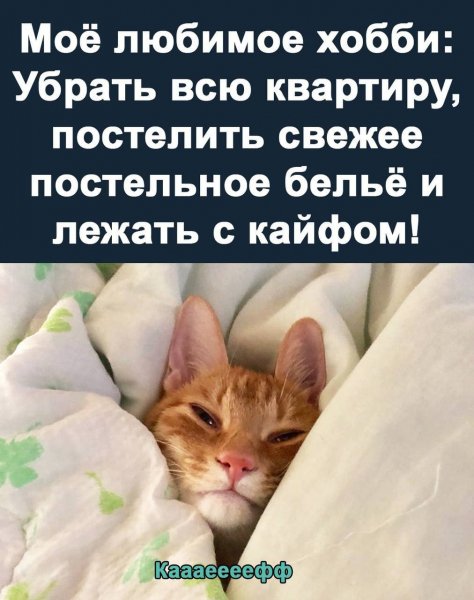 IMG 20250321 091209 018