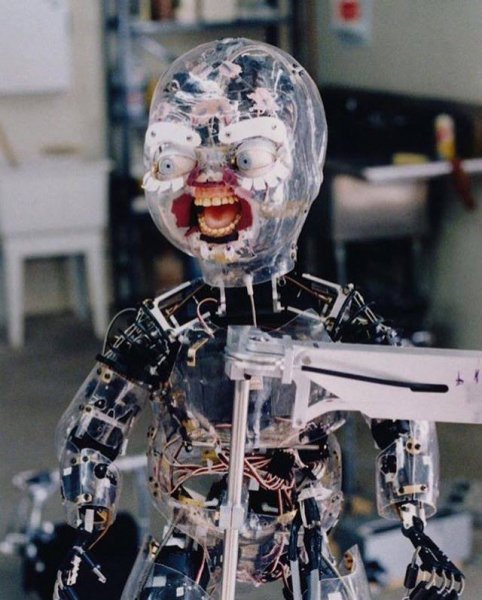 Внутренняя красота Чаки