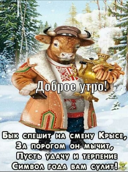 IMG 20201231 160546