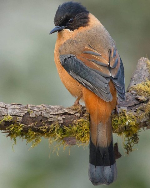 10-06-23-180501074 3540212426083834 2231633952462149495 n