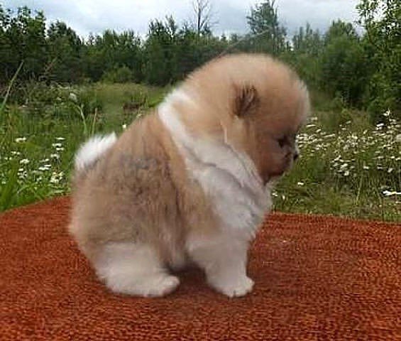 IMG 20170712 103121 0