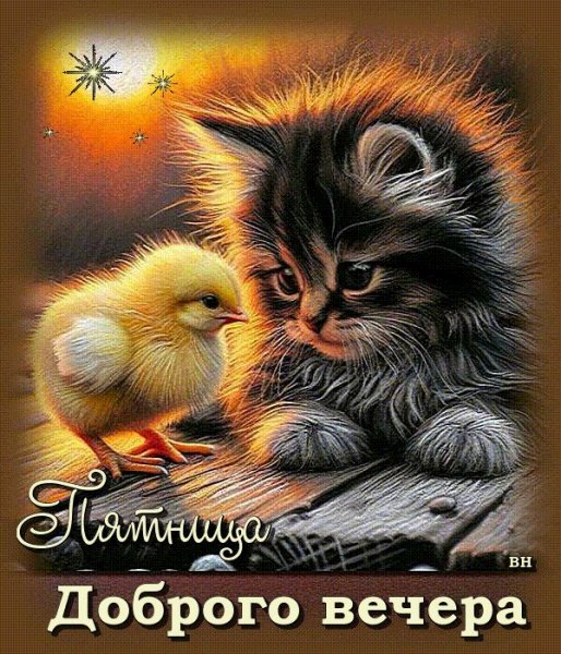 7d1ae366cde9f1ee6978072f1487c665