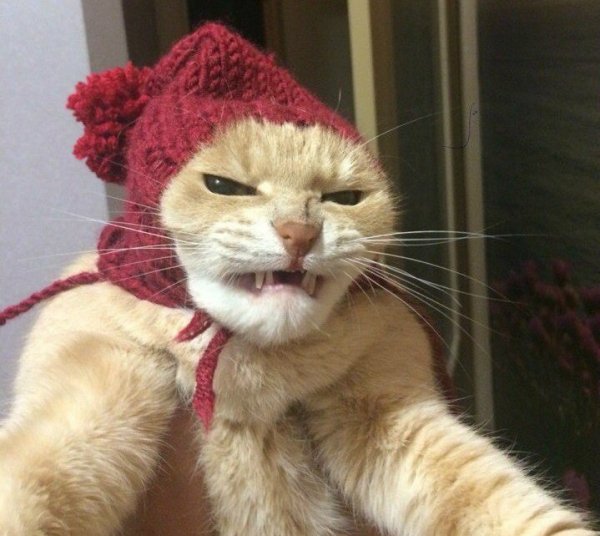 Снова эта бабушка приехала!