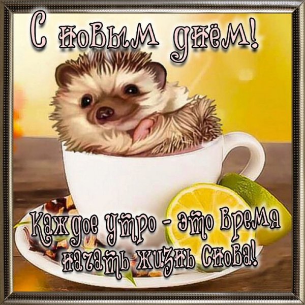 e6cccc9c8d94d8fe3ac44088acac0