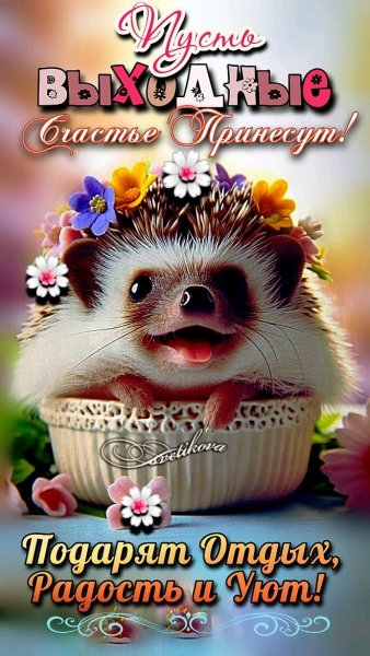 9dfac342e1b5ecd4f0feeaeeadd2cfcc