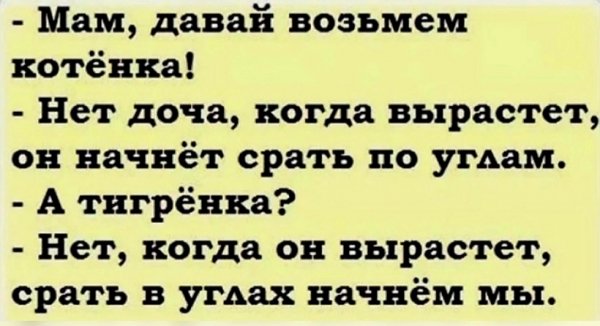 2qIZaKj0