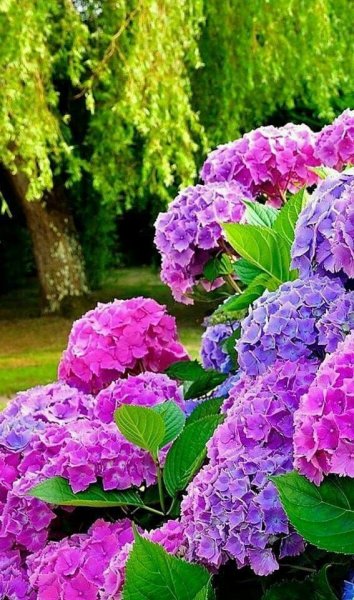 8c0231ad541d98ac7bd5096b69411b0d