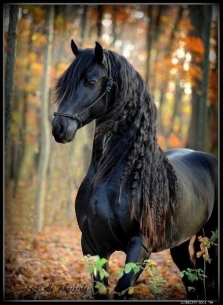 IMG 20170722 125550 3-spcs