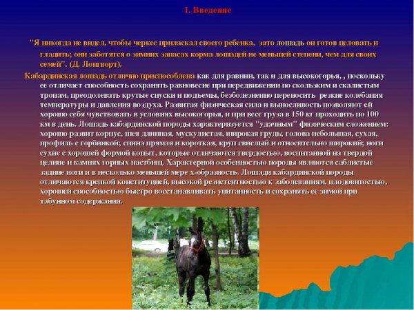 Кабардинская лошадь