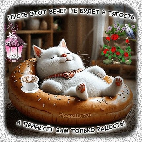 d709b8b22ca02cab6fd36