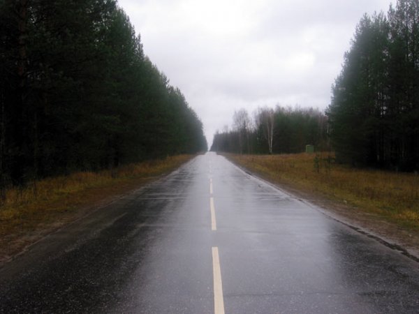 Мокрый асфальт