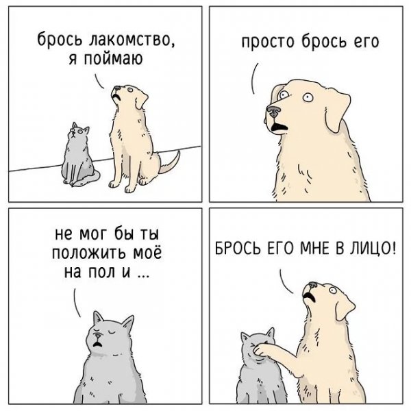 komiksy-pro-zhivotnyh-16-foto 0