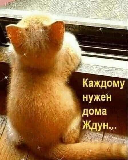 D4fc4065f2339dcaddfc8e1b04b387c3