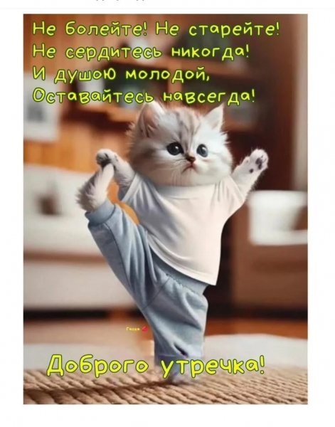 IMG 20260315 110656 770