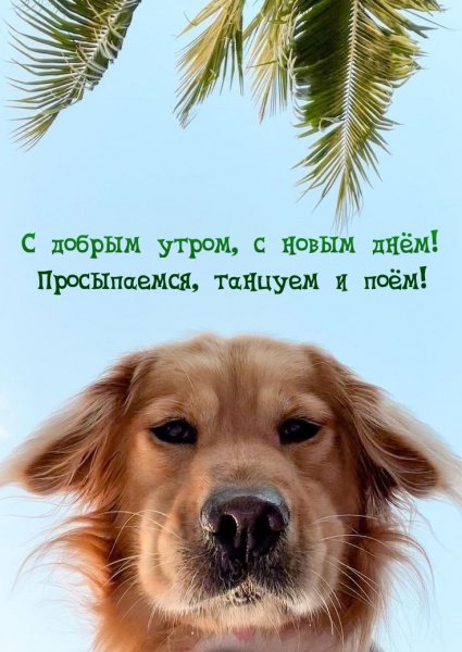 Танцуем и поём!