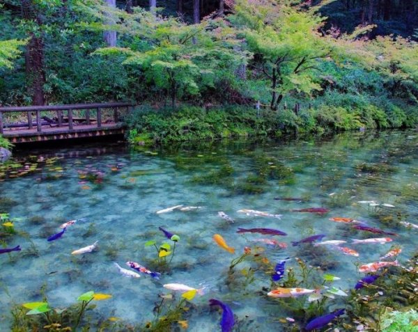 smeshnyh-i-prikolnyh-fotografij-18