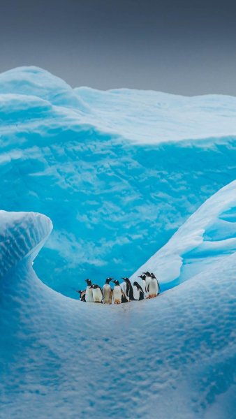 Screenshot 20250822-133254 One UI Home