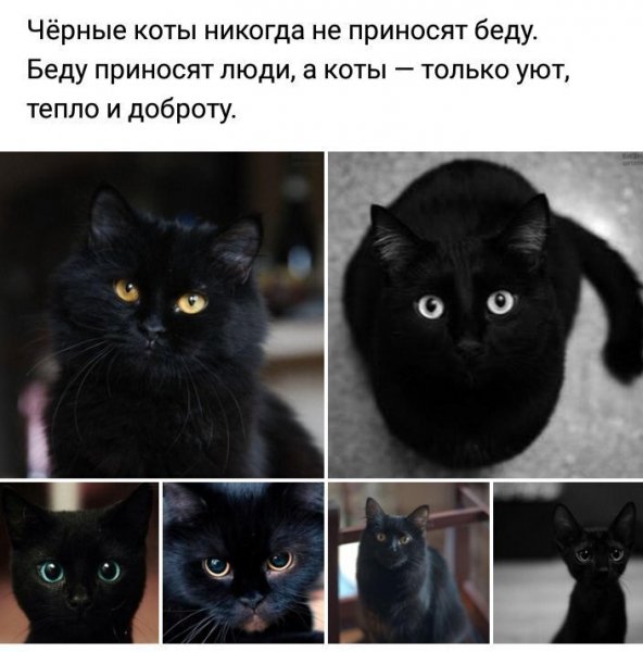 Верные слова!