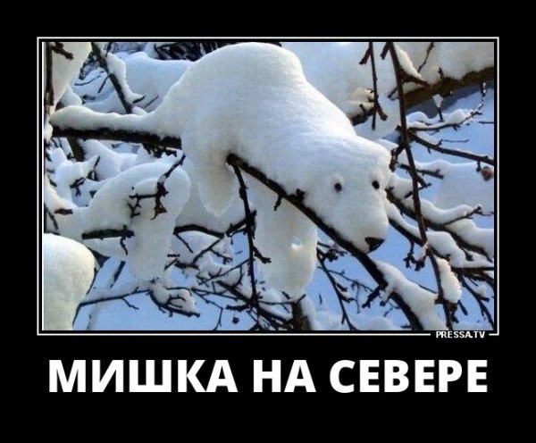 f72944be6ebb1623465212857370c