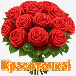 розы