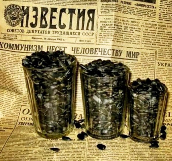 IMG 20251208 190844 561