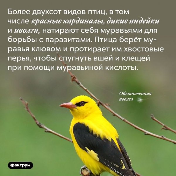 IMG-e9b4178c8fc7febe3a5d44d25f2791a2-V