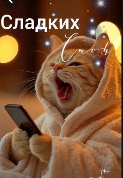 IMG 20260320 225129 820