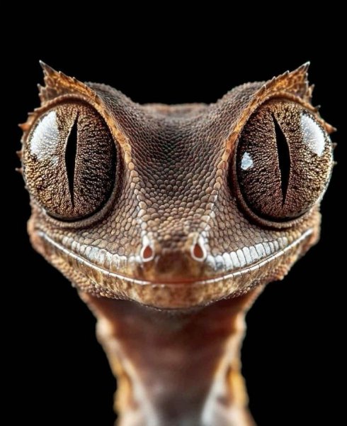 Ac5c942dc68dddc3271fe234d94dabf9