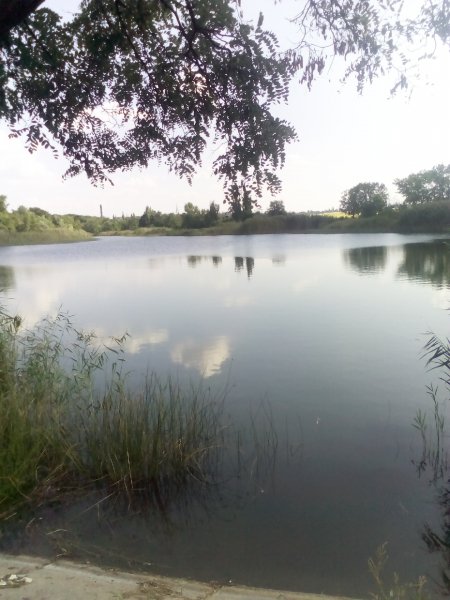 IMG 20230828 143005 487