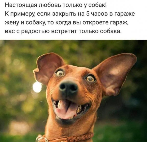 GVaKhrSQ4tg