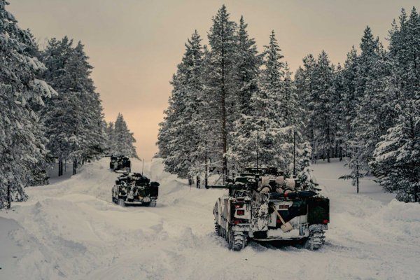 -5364033790856520883 121