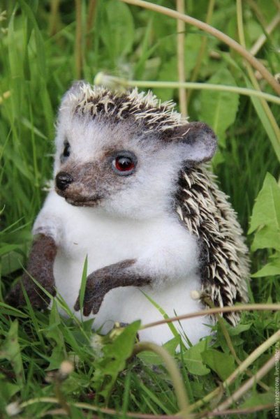 9cff963f9bd016fd9a093bd9c8e6f409