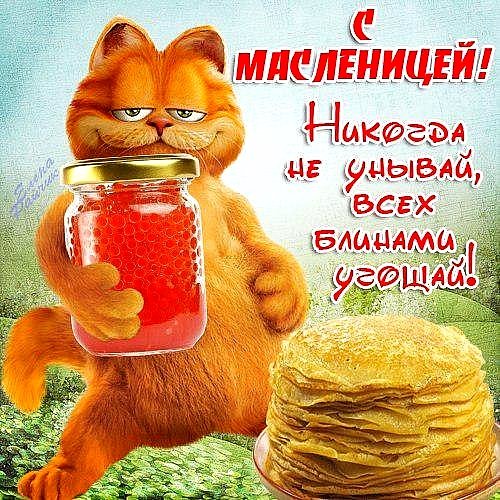 IMG 20250226 143627