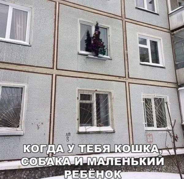 picture_407397482