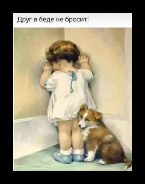 image (2) - 2021-03-21T021532.282