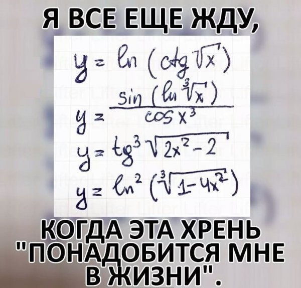 picture_207642997
