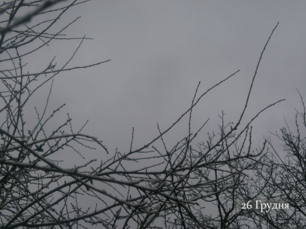 26 Грудня