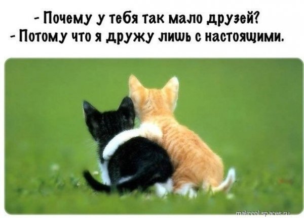 ДрузьЯ