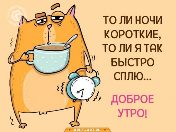 Dobroe-utro-iumor-23-1