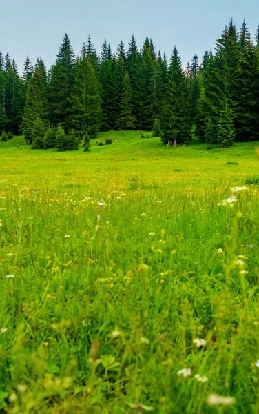 Screenshot 20250307-214449 One UI Home