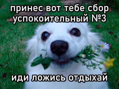 84e2f1fb75 1761752148